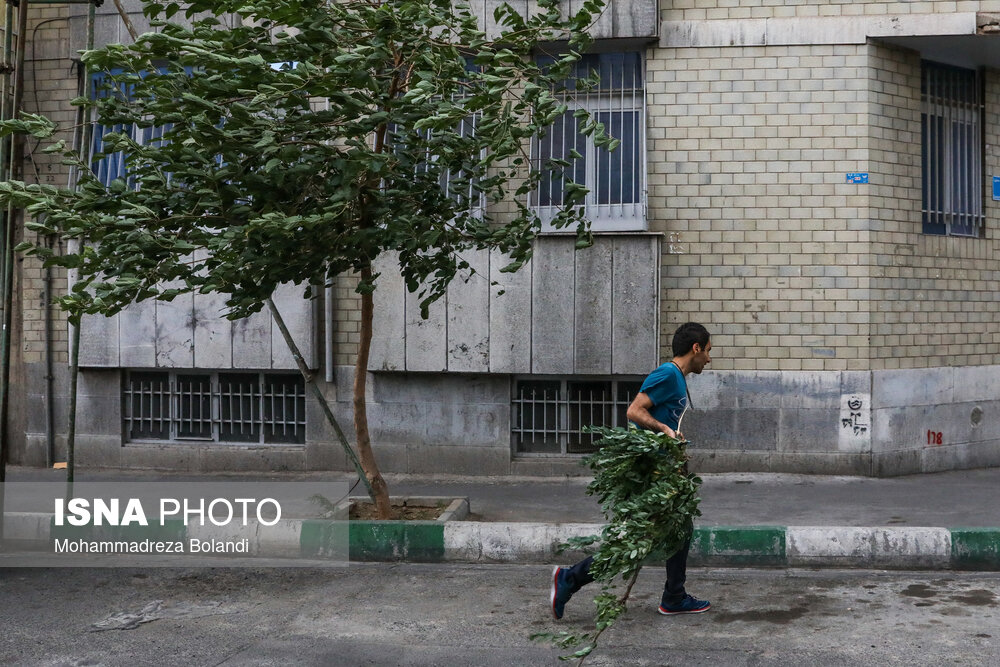 وزش باد شدید در جنوب و غرب تهران/ دمای هوای پایتخت به ۴۰ درجه می‌رسد