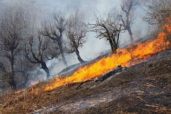 آتش‌سوزی سفیدکوه اطفاء شد – ایسنا